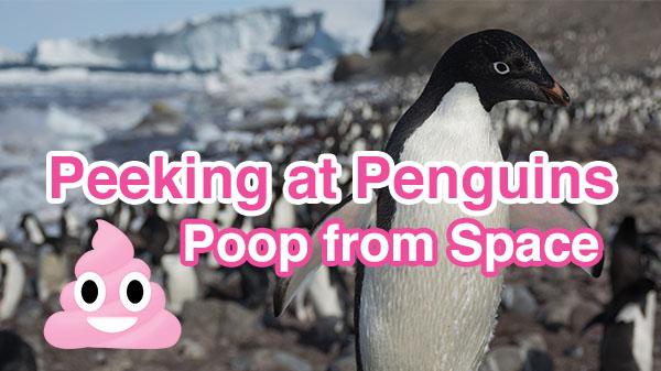 The Role of Penguin Droppings in Monitoring Population Trends