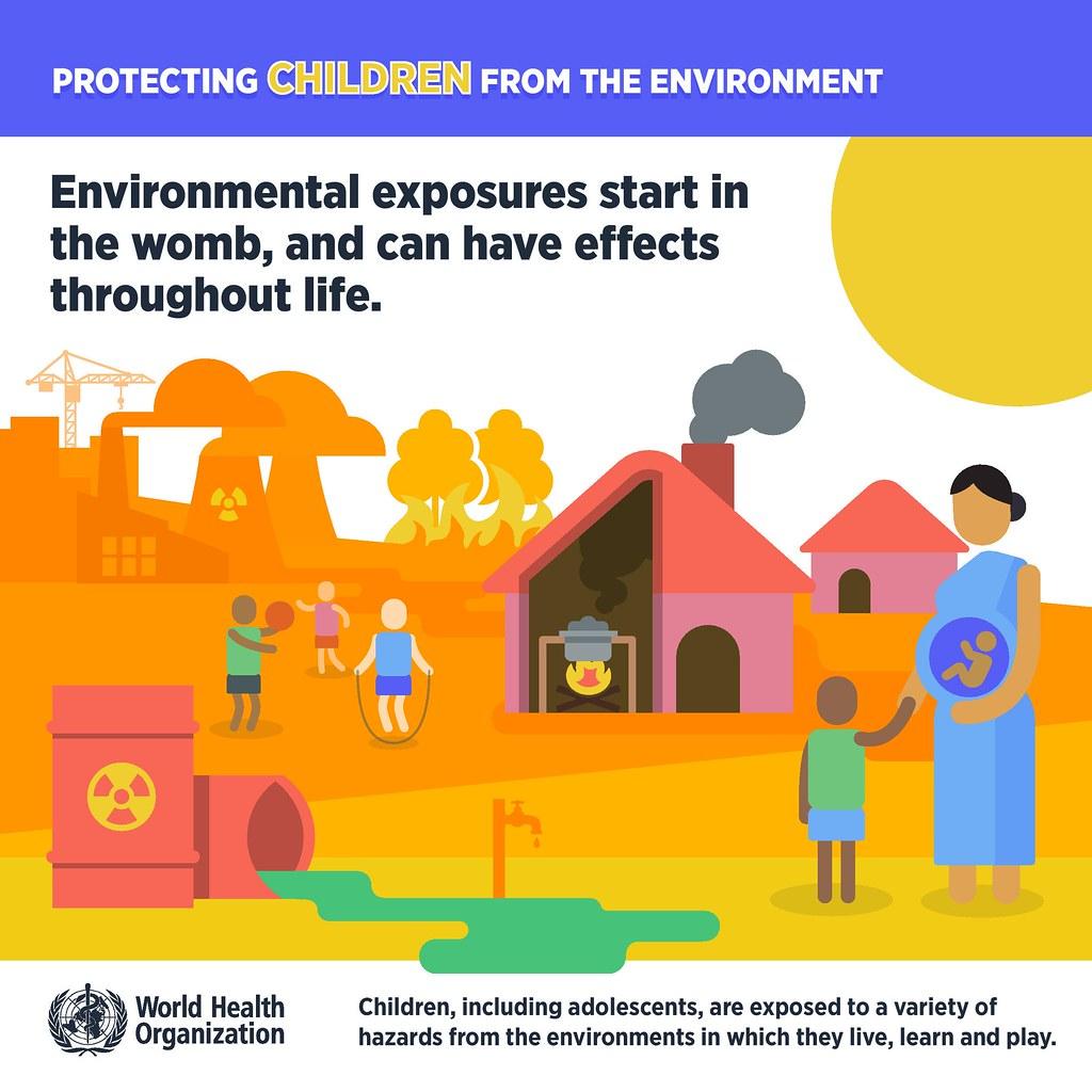 The Impact of Environmental Exposures on Childhood Neurodevelopment