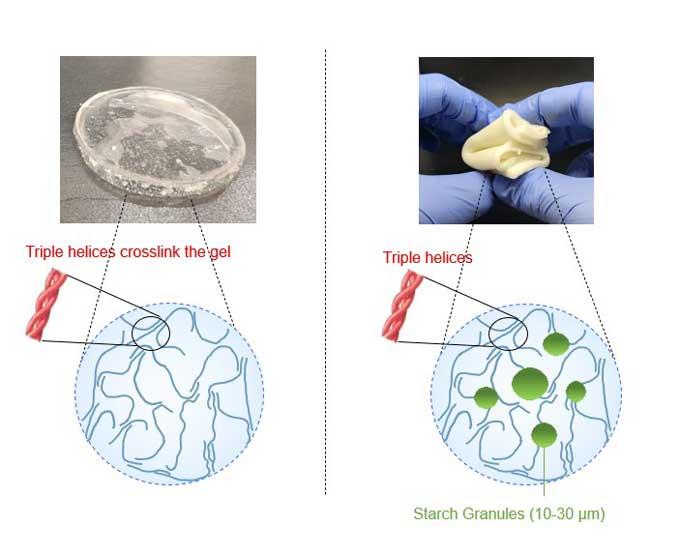 Advancements in Hydrogel Technology