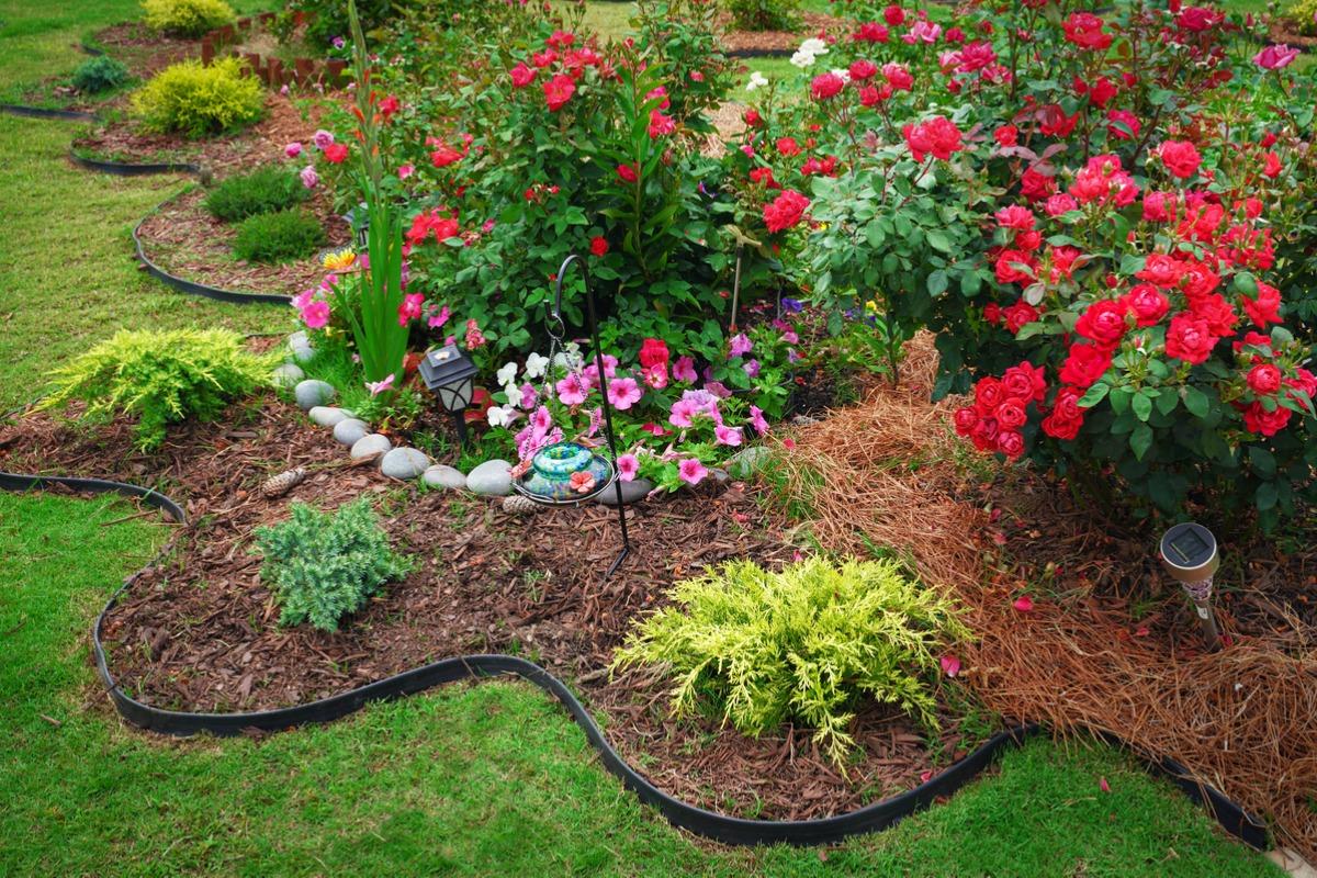 - Professional Landscaping: Transforming Your Home's Curb Appeal
