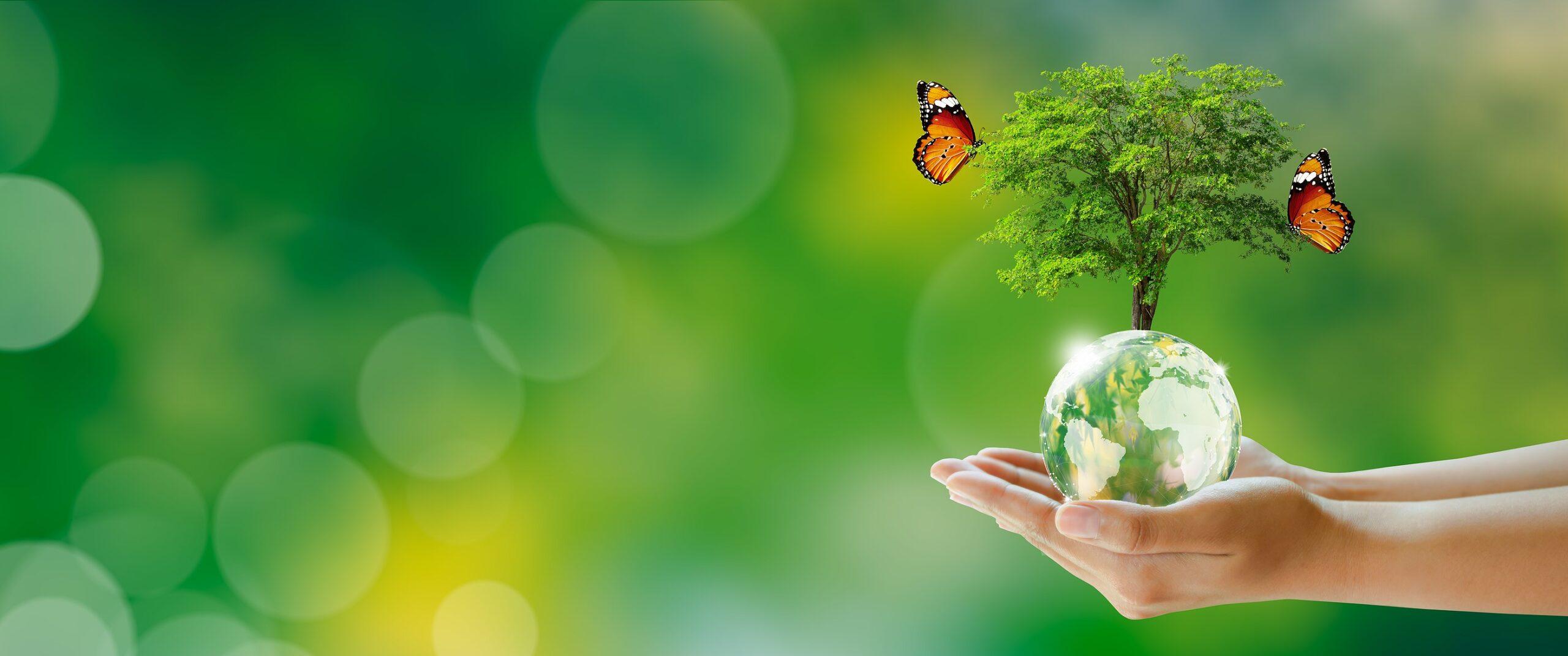 - Importance of Eco-Literacy in Early Childhood Education