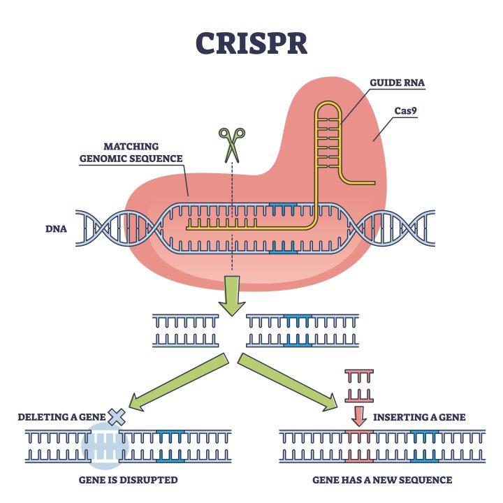 How CRISPR can revolutionize antiviral therapies
