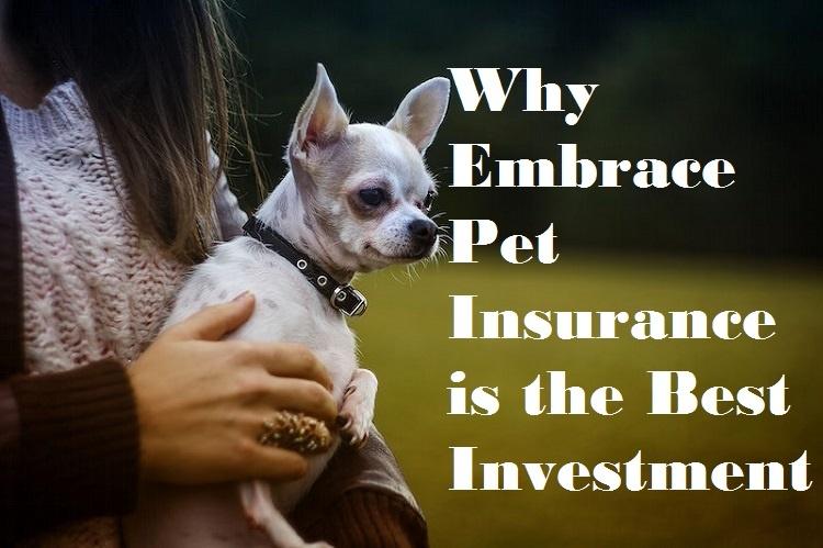 Choosing an annual limit for pet insurance in 2024