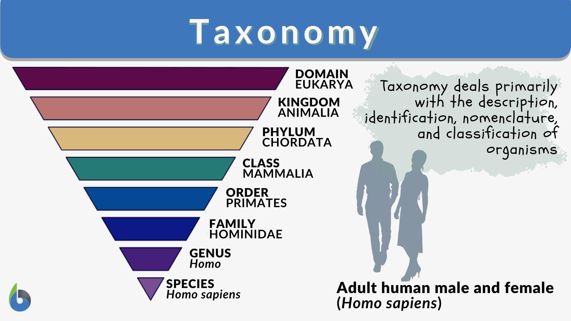 2. Key Elements of the Taxonomy and How They Can Transform Reporting