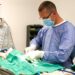 Veterinary Surgery Explored – “The Dreaded Ex Lap”